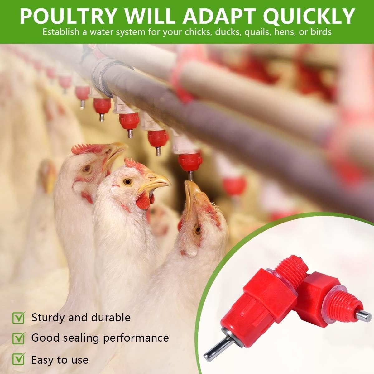30 Pack Automatic Chicken Waterer - Efficient Gravity-Fed Poultry System