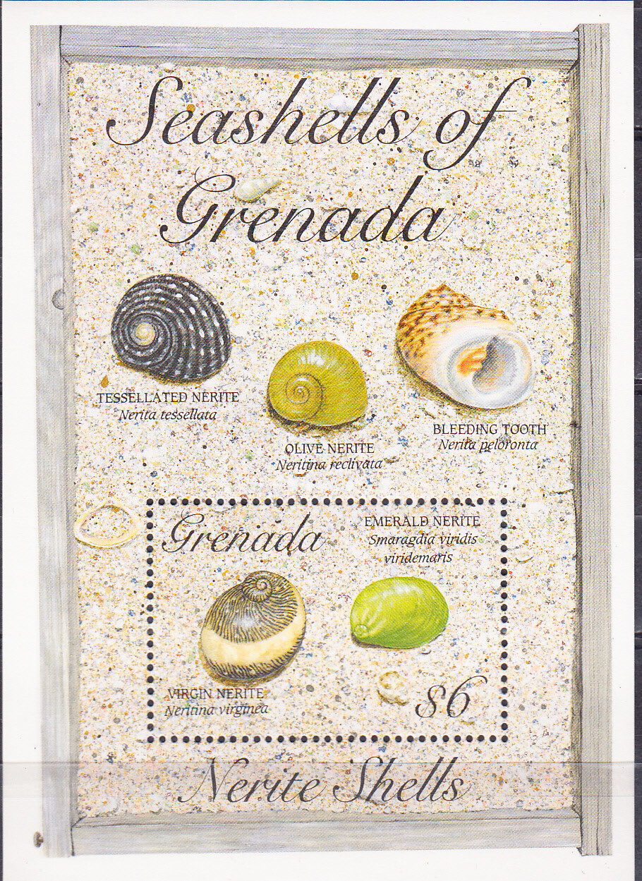 W GRENADA 2209 SEASHELLS SOUVENIR SHEET
