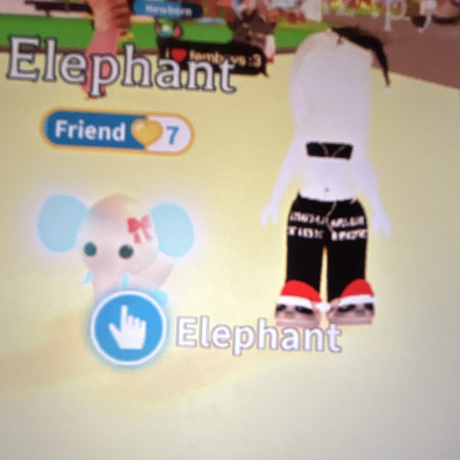 Adopt Me! Elephant  MFR Fly ride