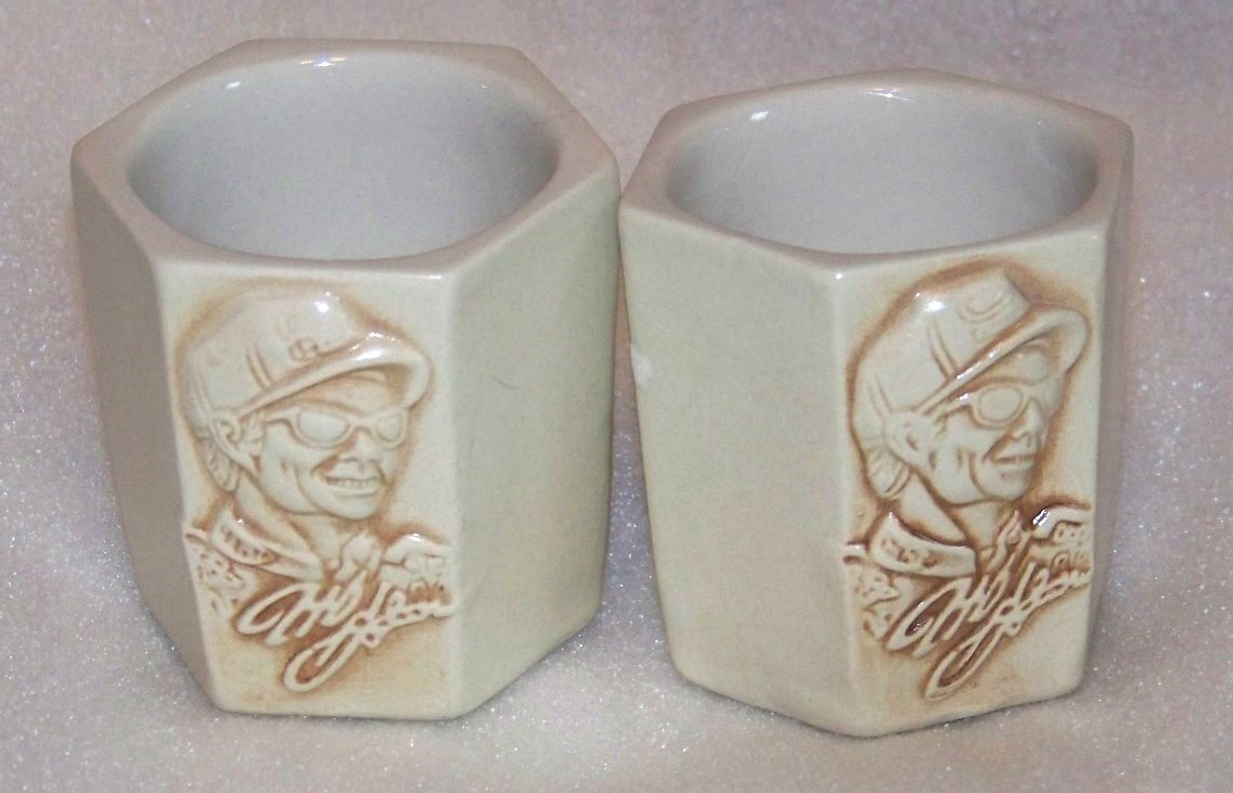 #24 Jeff Gordon Shot Glasses (2)
