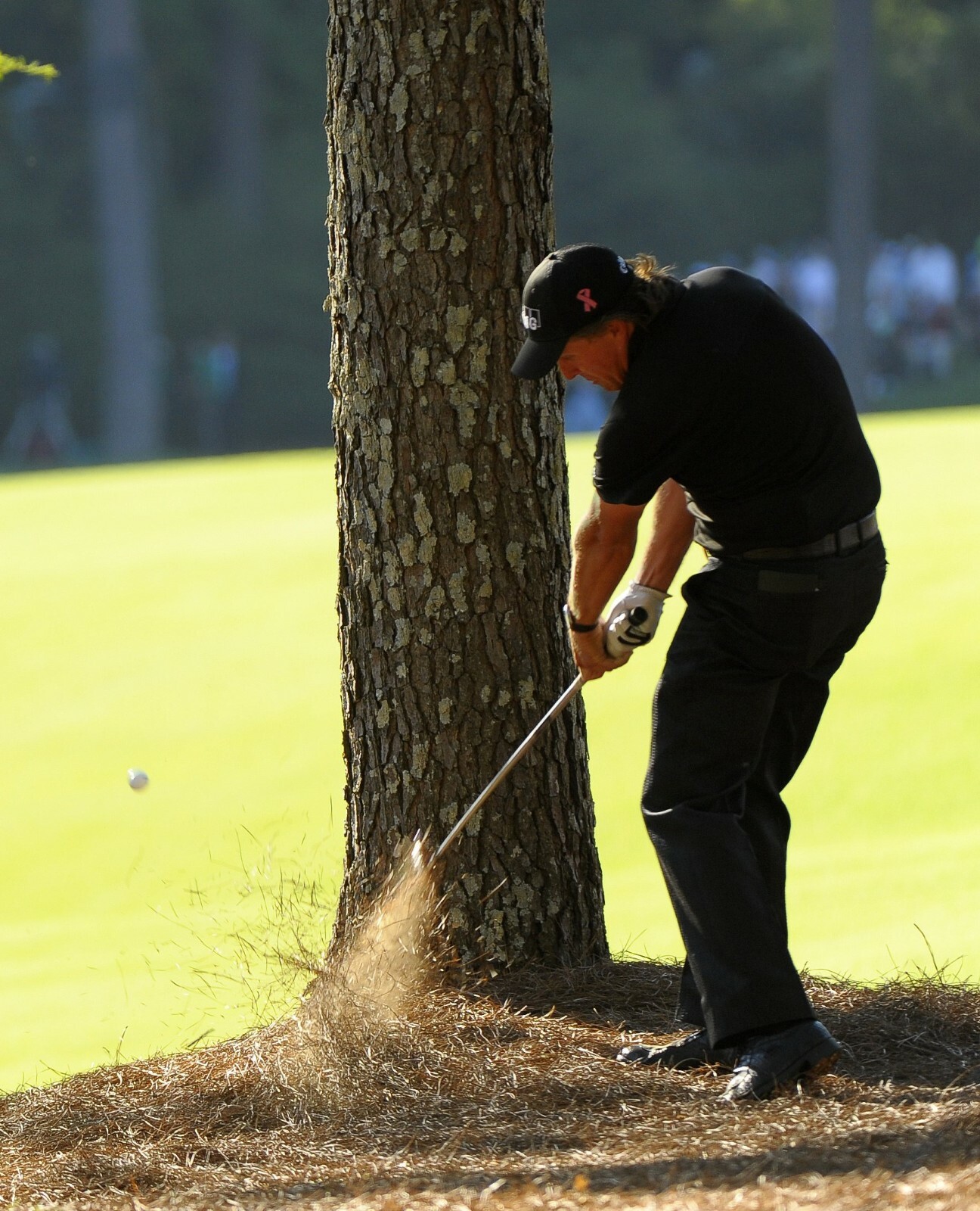 PHIL MICKELSON MASTERS TREE SHOT 8X10 GLOSSY PHOTO IMAGE #1