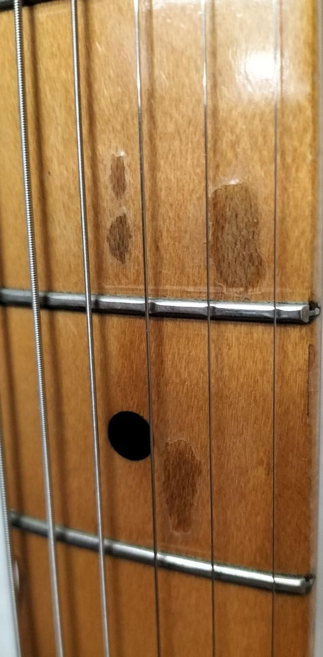 FENDER TL72-55 (NO251005)