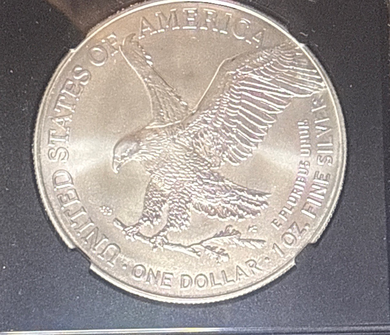 2026 Silver Eagle NGC MS70 Anna Cabral Signed