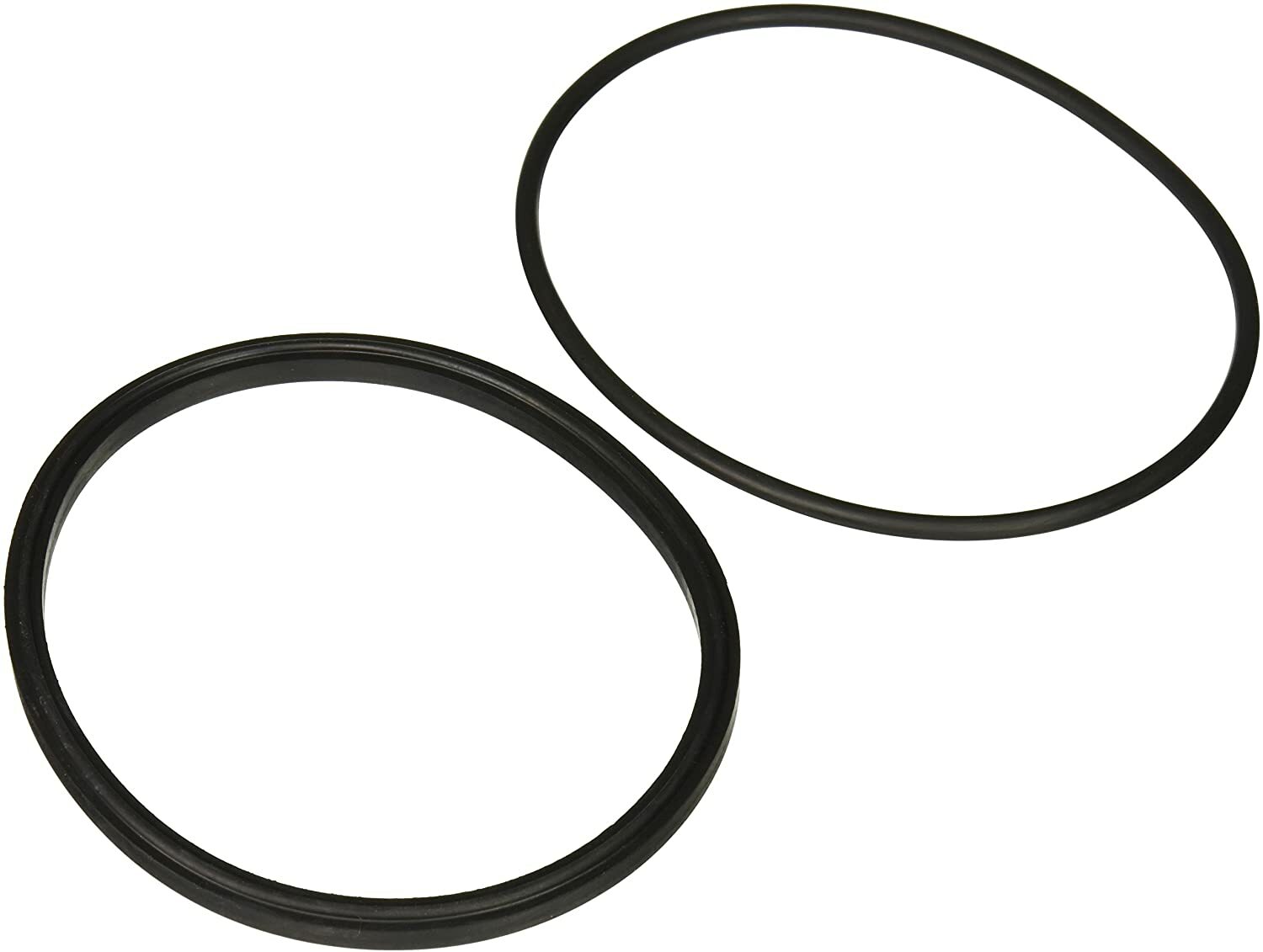 Zodiac R0449100 Lid Seal w/ O-Ring Kit, Jandy Pool and Spa Pumps