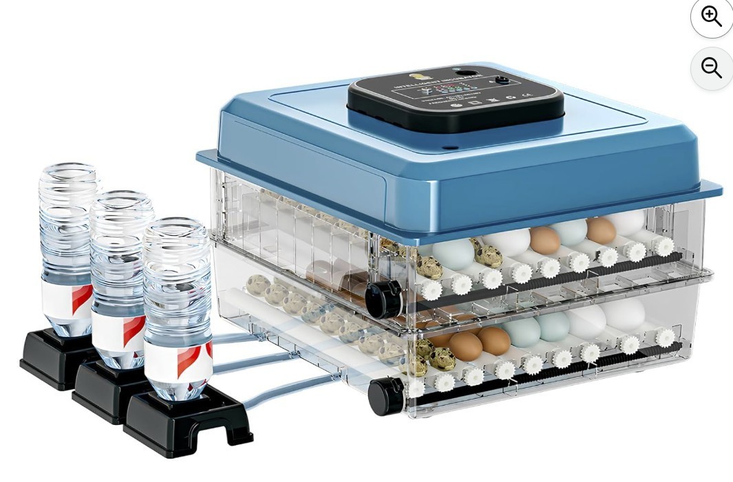 Incubators for Hatching Eggs, 136 Eggs Incubator Digital Poultry Hatcher with Au