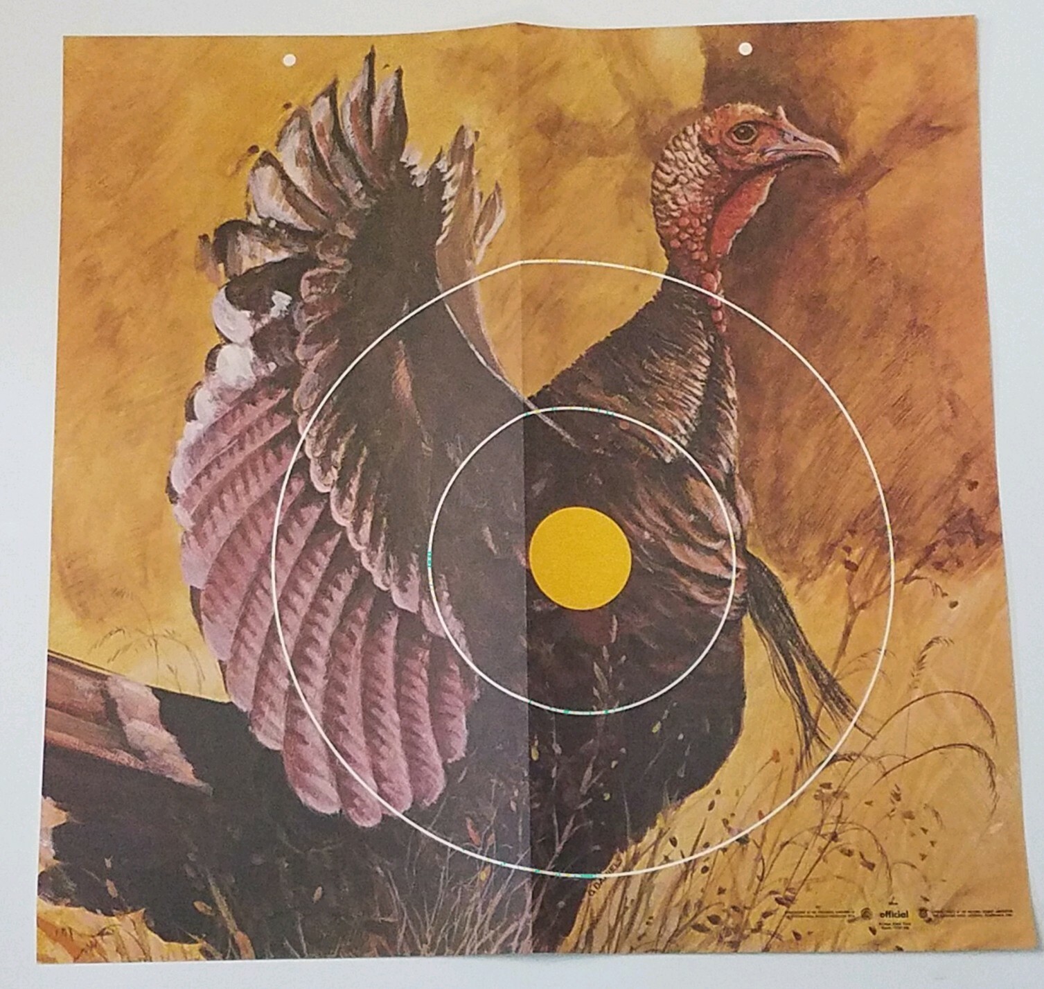 Vtg 1951 Turkey Target Lithograph Animal Field Face Archery NAA D. Daniels 30 cm