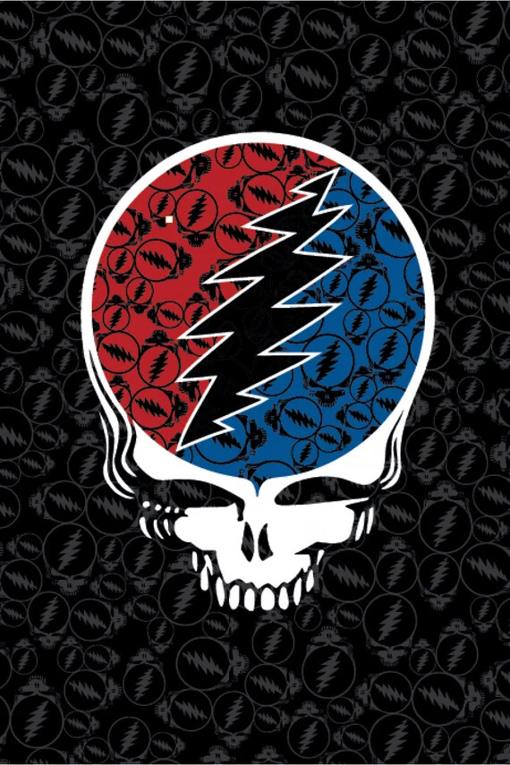 Grateful Dead Tapestry| Stealie Tapestry | Grateful Dead Tapestry Licensed S Joy