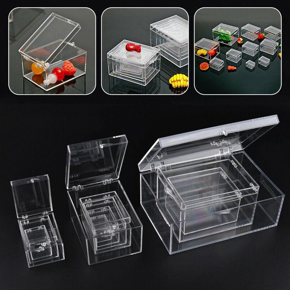 Plastic Storage Box for For ct Specimens and Desktop Display Solutions