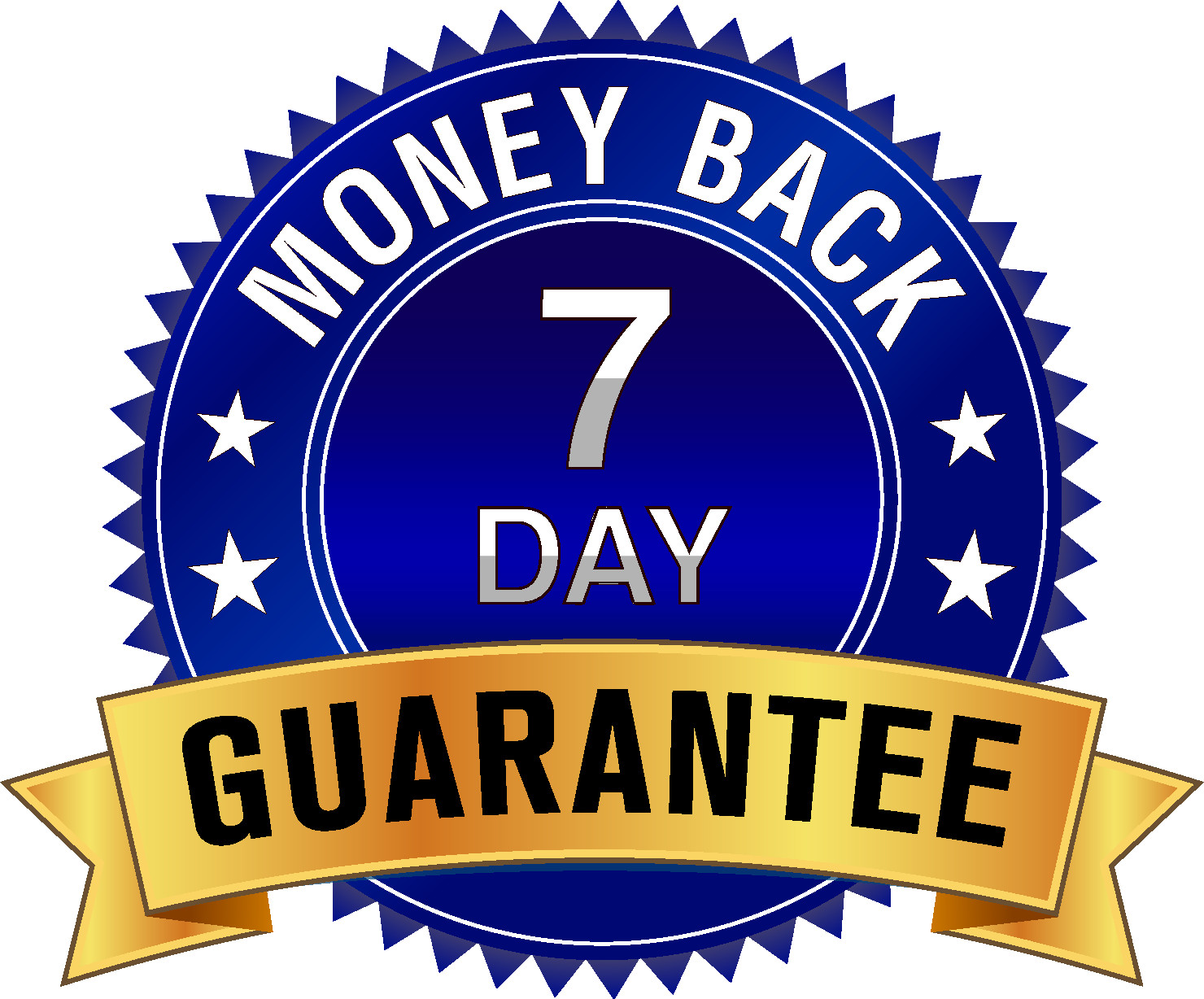 Custom Internet Wordpress Website Business Development with 1 month hosting