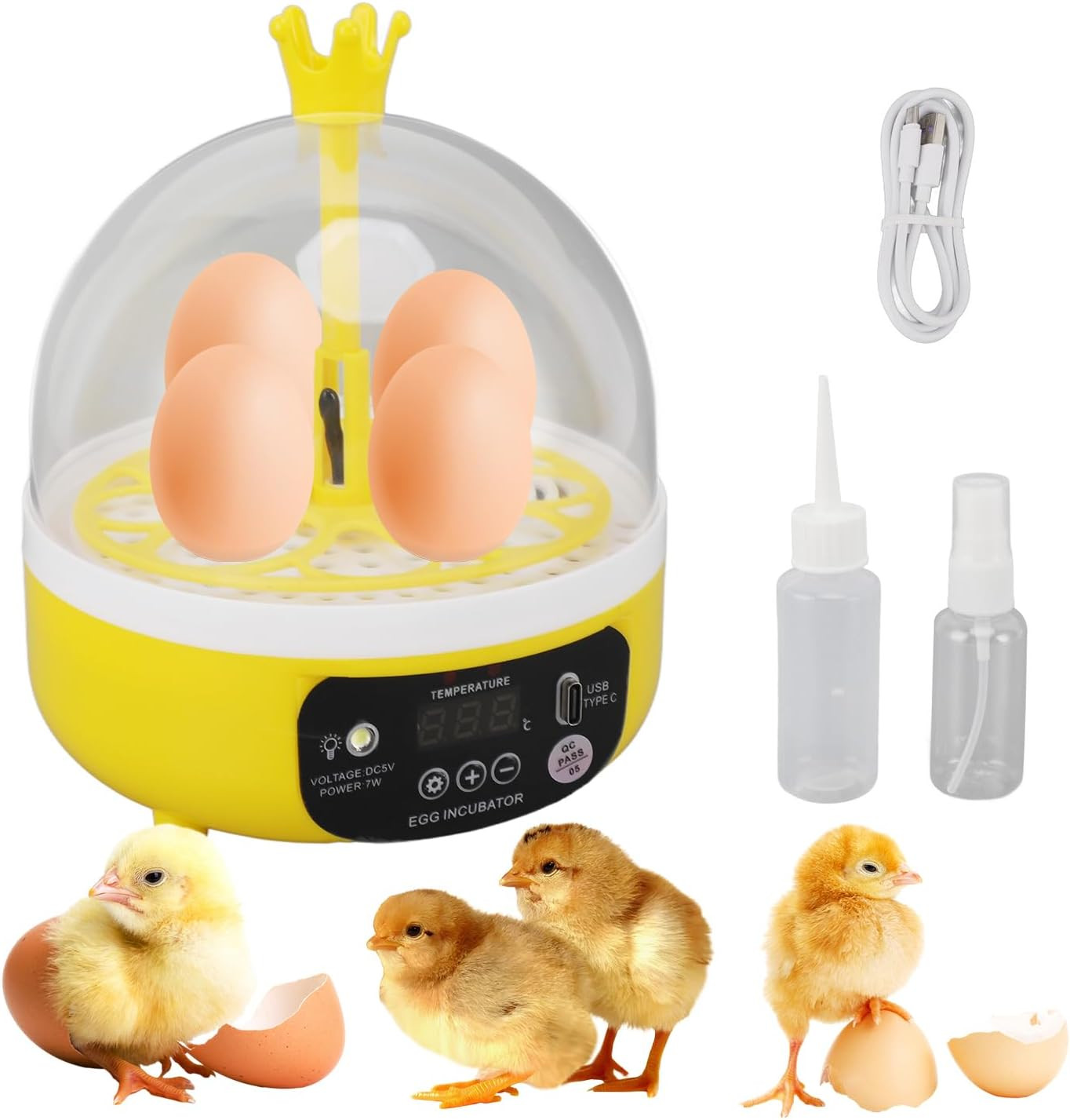 Tissting 4 Eggs Mini Incubator with Transparent Lid,7W Automatic Temperature Hum