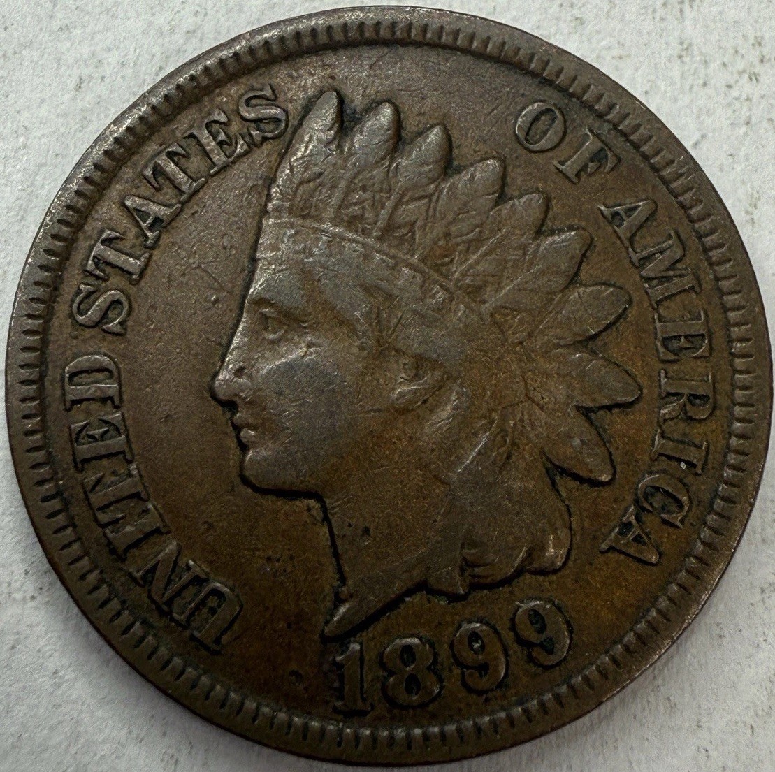 1899 Indian Head Cent Exact Coin Imaged #IND1881