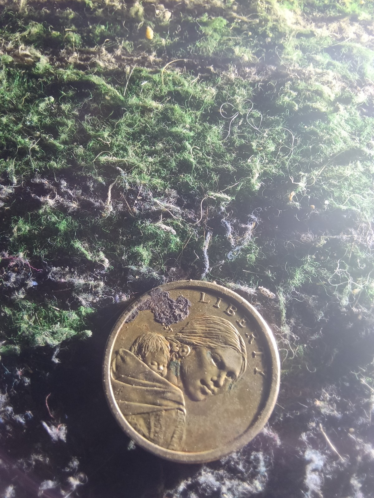 1621 Wampanoag Treaty - 1 Dollar Coin - RARE