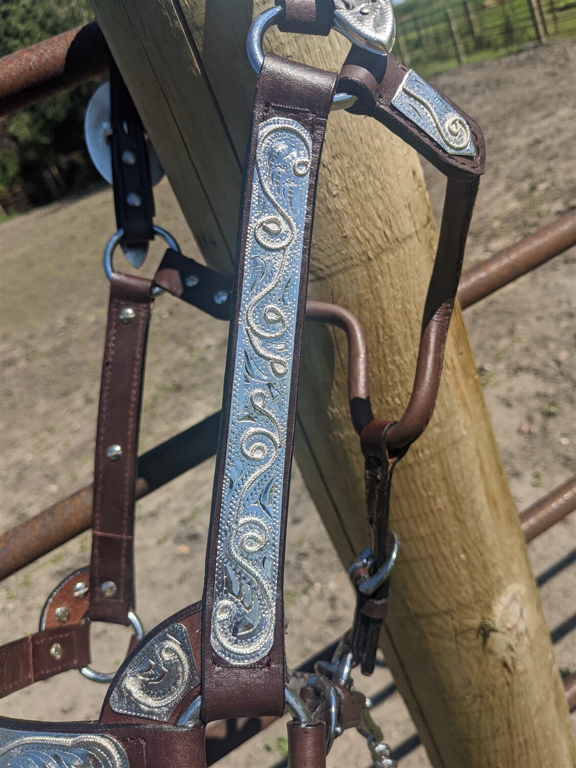 Silver Show Halter-Dark Oil Leather-Rope Design Horse Size-Matching Lead Shank