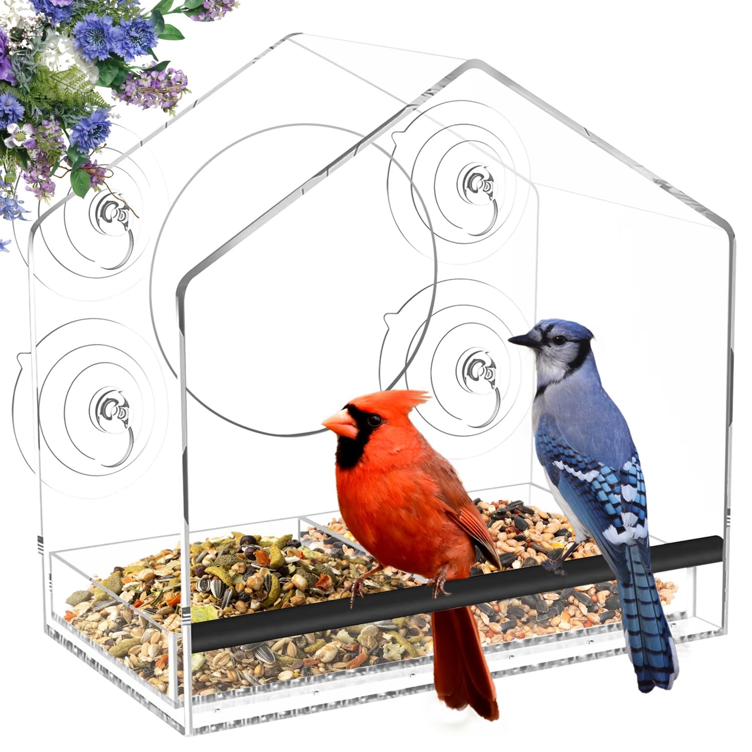 Jarkyfine Window Bird Feeder with 4 Extra Strong 2.36'' Suction Cups - Clear