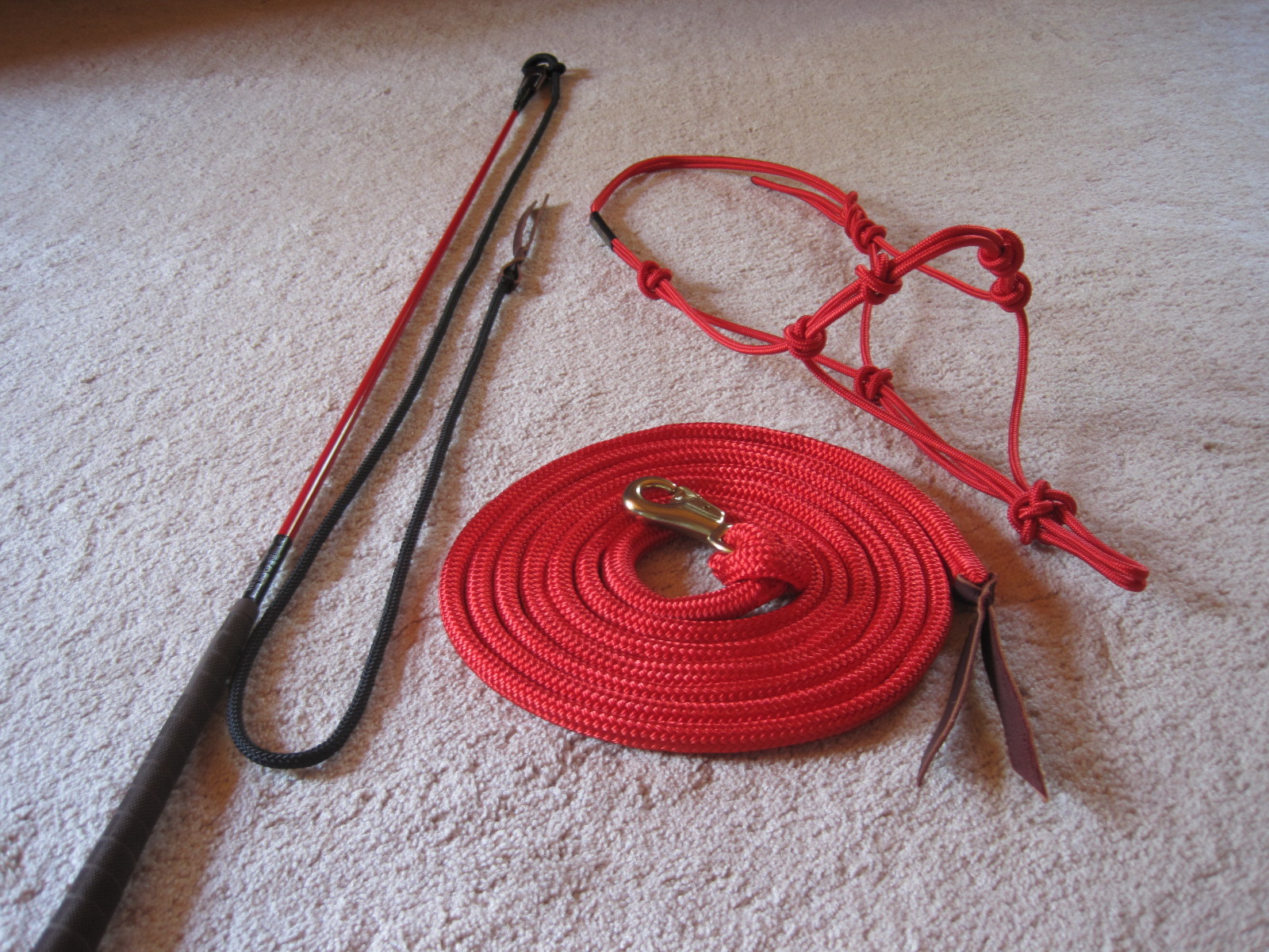 THOMEY HORSE HALTER, LEAD,STICK,FITS PARELLI, CA ~ RED