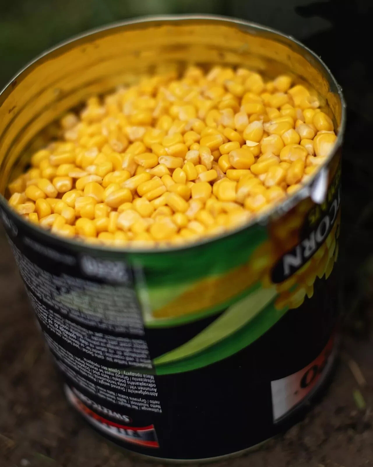 Korda Filippo Tinned Sweetcorn 2.15kg large tins - Carp Fishing Bait -
