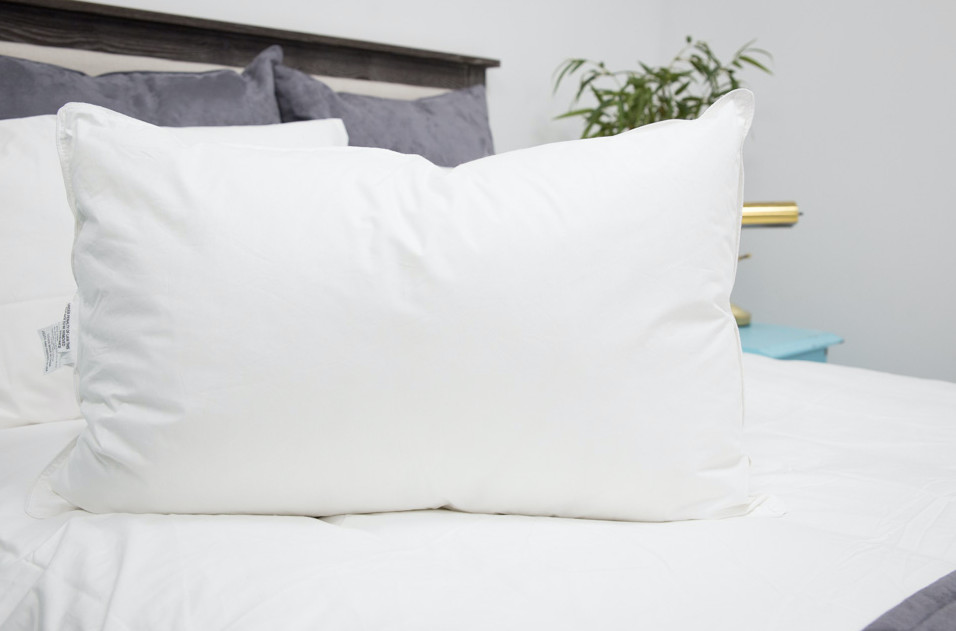 IHG Featherbest 300tc Pillow QUEEN Soft Featured at IHG Hotels FREE PILLOWCASE