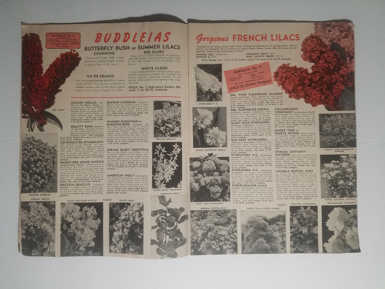 1955 Whitten Nurseries Catalog