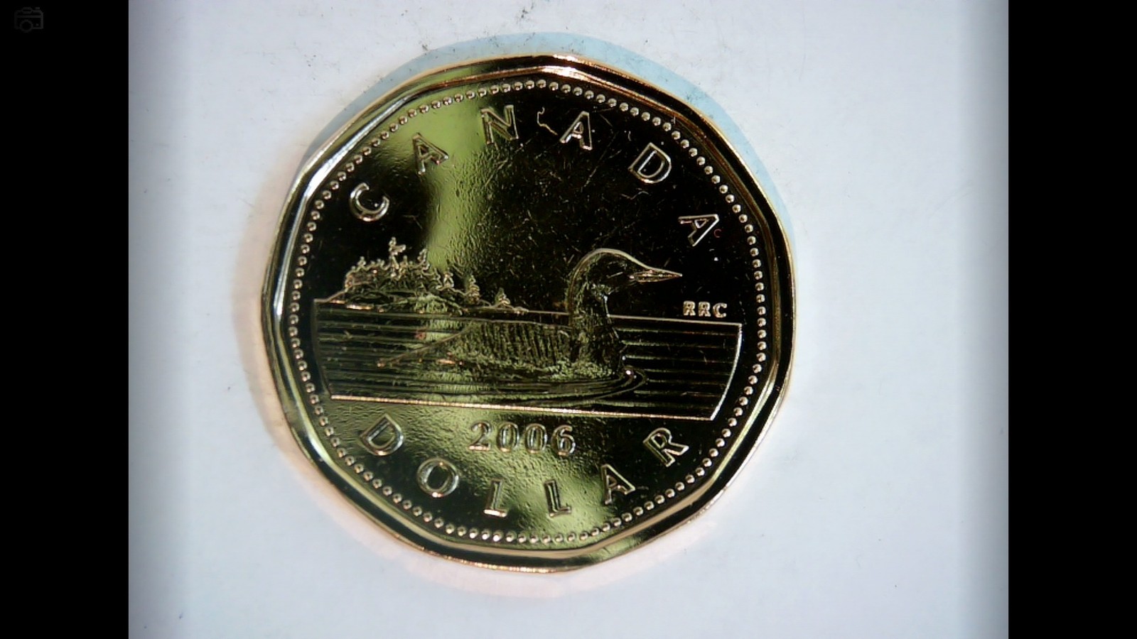 Canada 2006 1 Dollar Loonie (Common Loon) Coin
