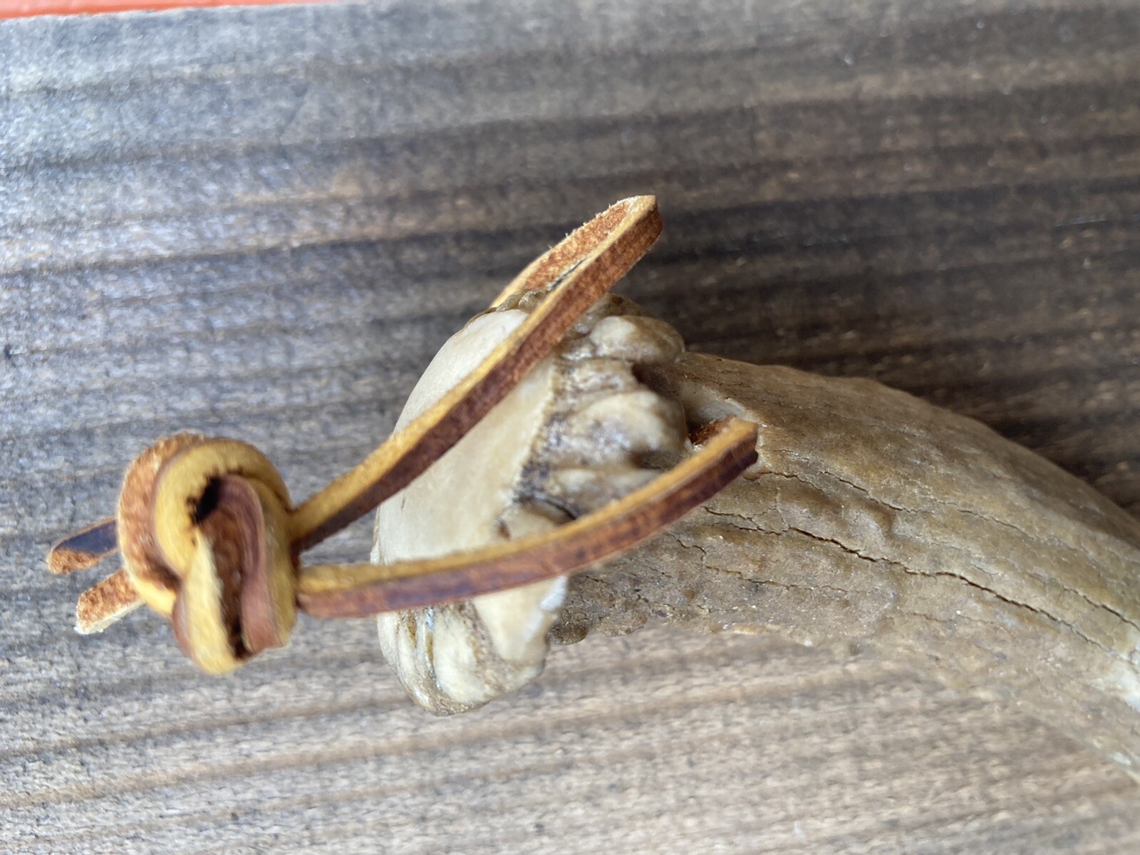Primitive Fork Stag Horn Handle 10.5” Old