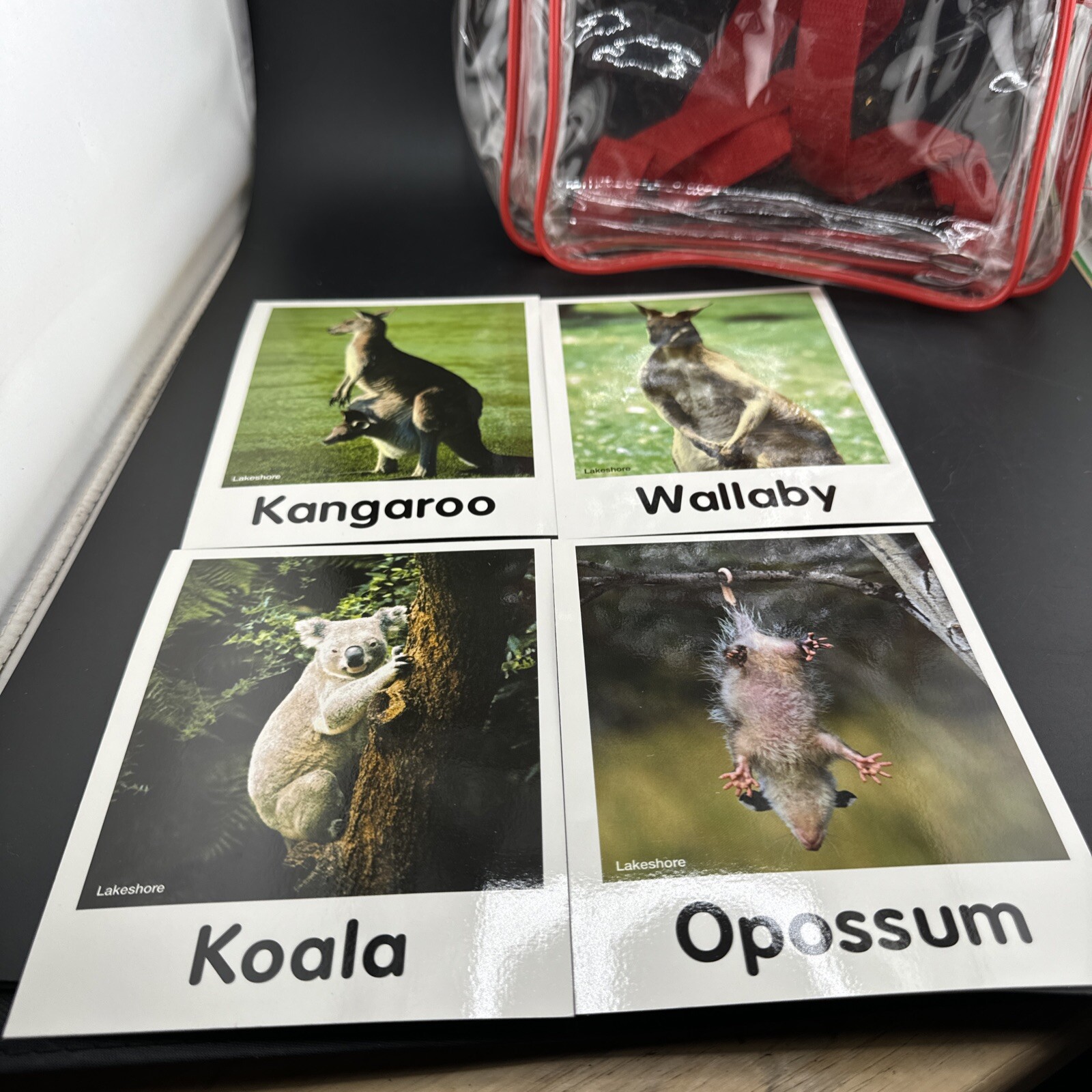 koala lou read together take home packet set
