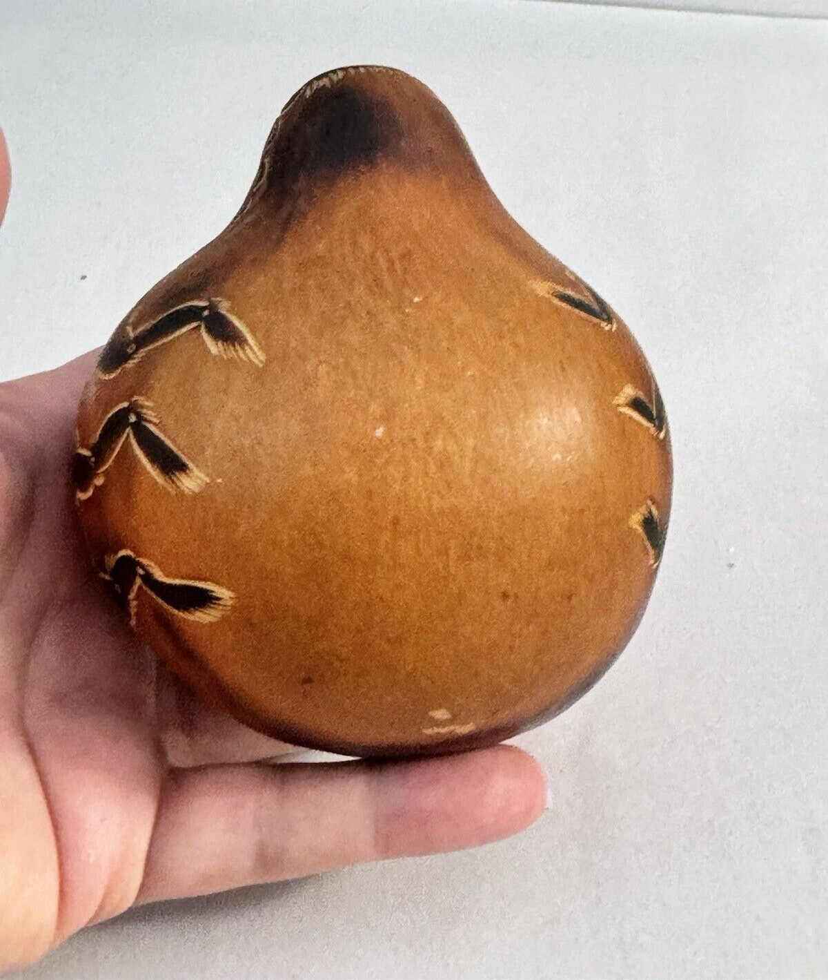 Hand Painted Peruvian Gourd Bee/Bug/insect