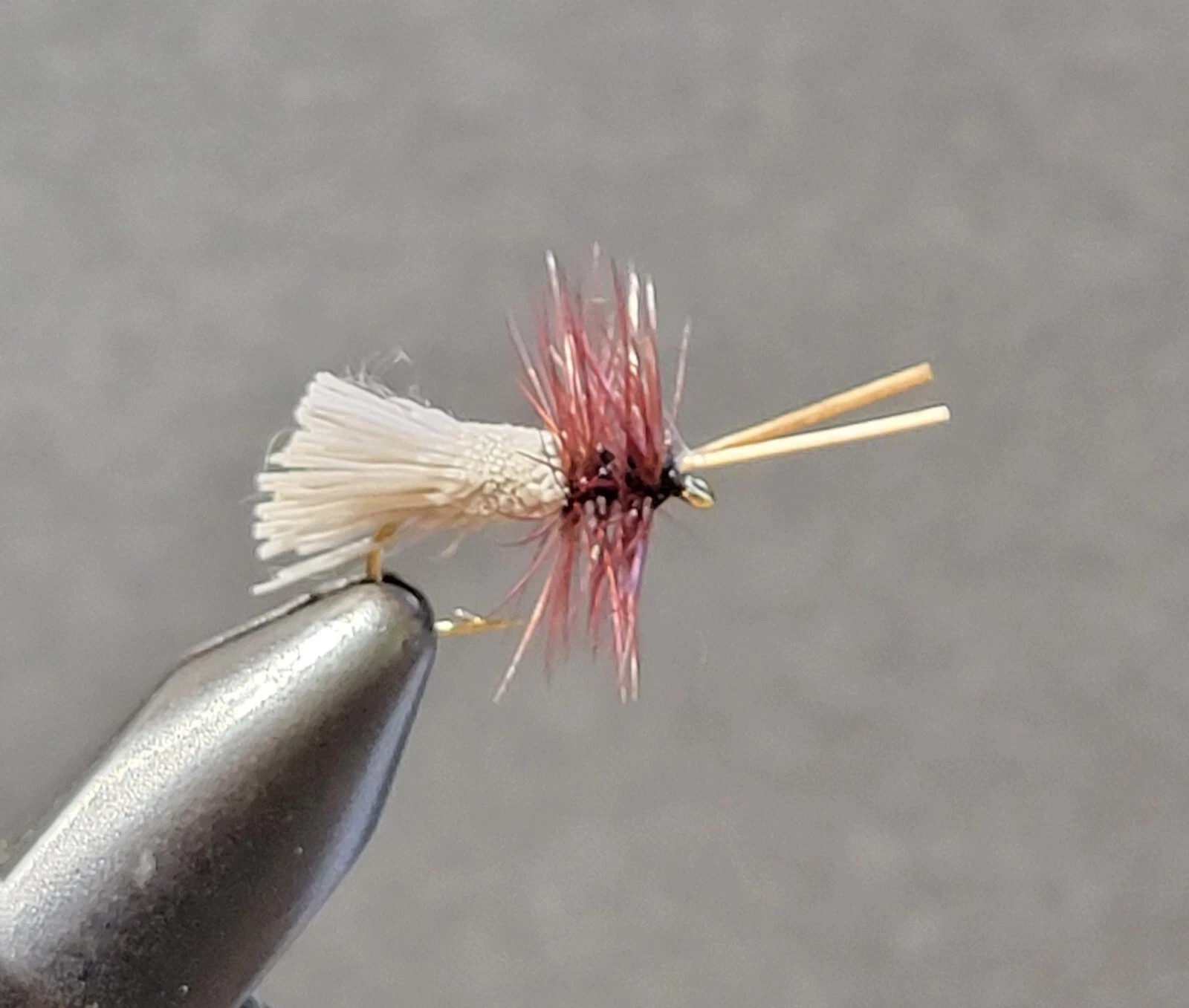 NATURAL GODDARD CADDIS  Dry Fly Fishing Flies, 1 Fly, U Choose Size
