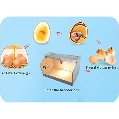 Intelligent Brooder Box Chicken brooder Quail cage for Newborns Chicks Ducks