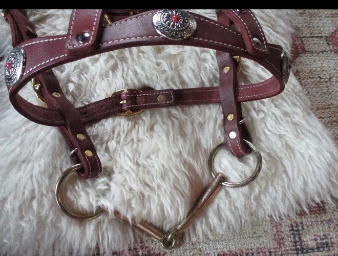 Loose Ring Snaffle Horse Bit 6 Inches  Photoshoot Baroque  Renaissance Bit ONLY
