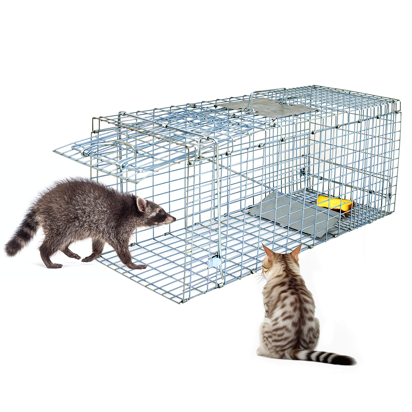 Live Animal Trap 32"X12.5"X12" Steel Cage Humane Rodent Cage for Rabbits Raccoon