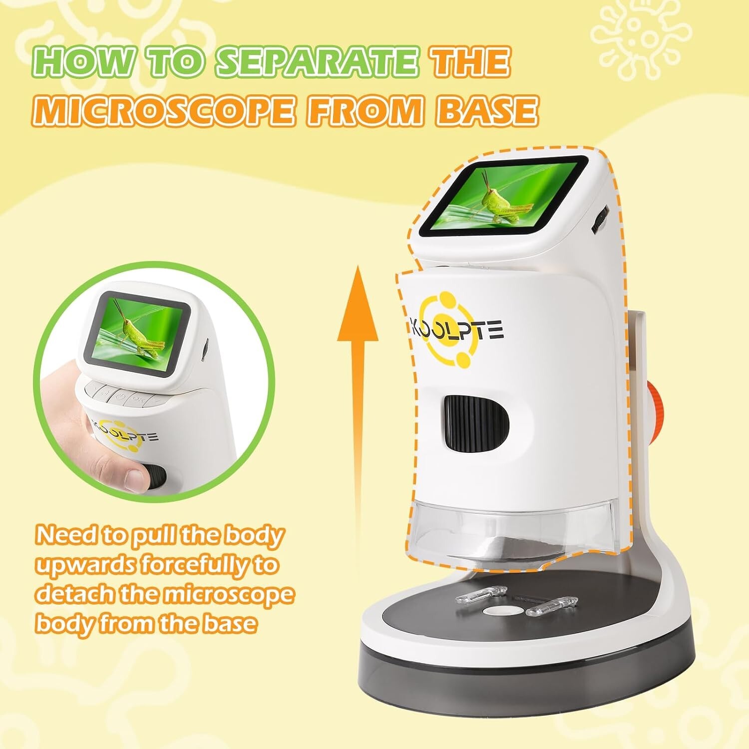 Microscope for Kids, 1000X HD Handheld Kids Microscope, 4K 2.1'' Screen Mini