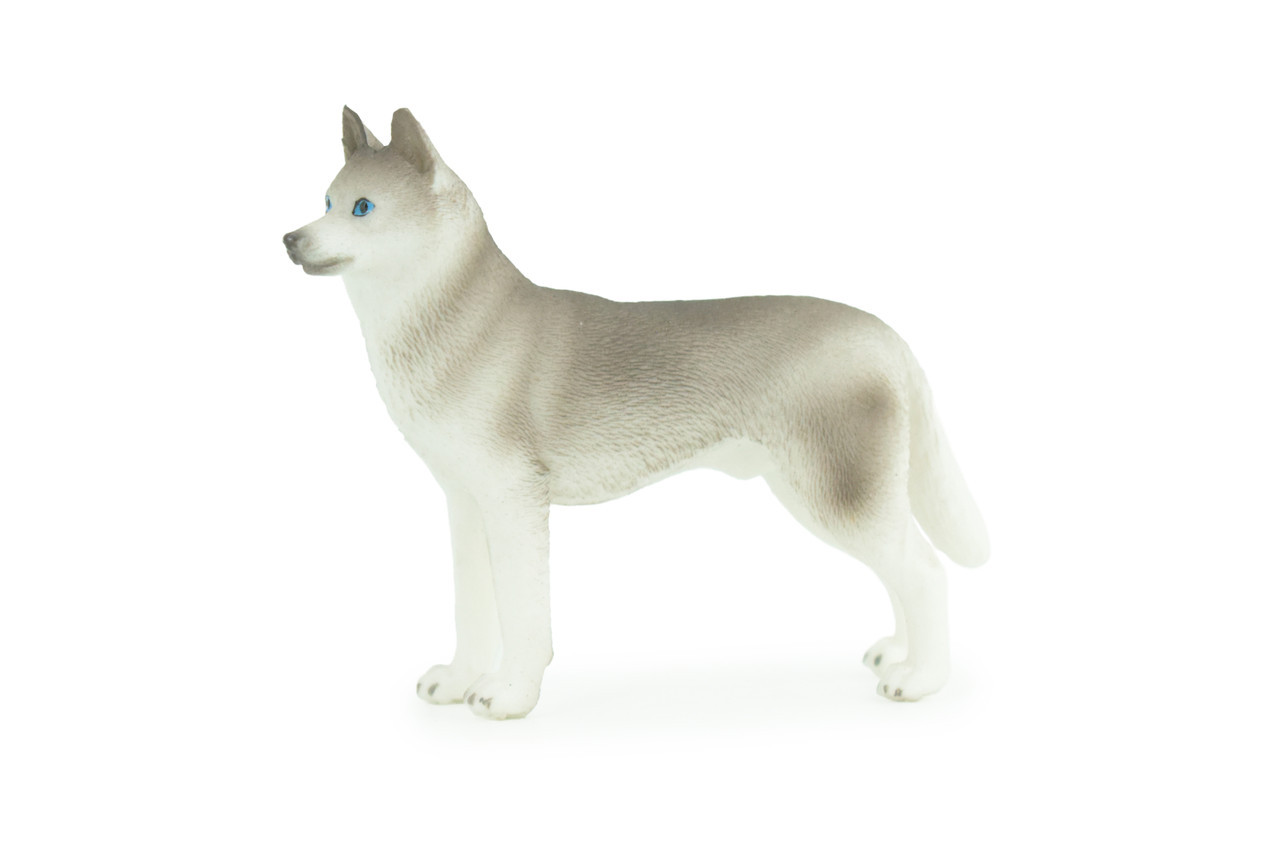 Siberian Husky Dog Model, Hand Painted Realistic Rubber Toy 3.5" CH900 BB202