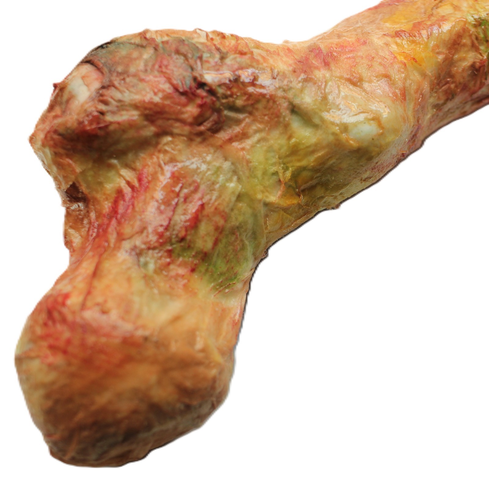 Bridgewater Triangle Human Femur Sci-Fi Horror Prop Hand Painted
