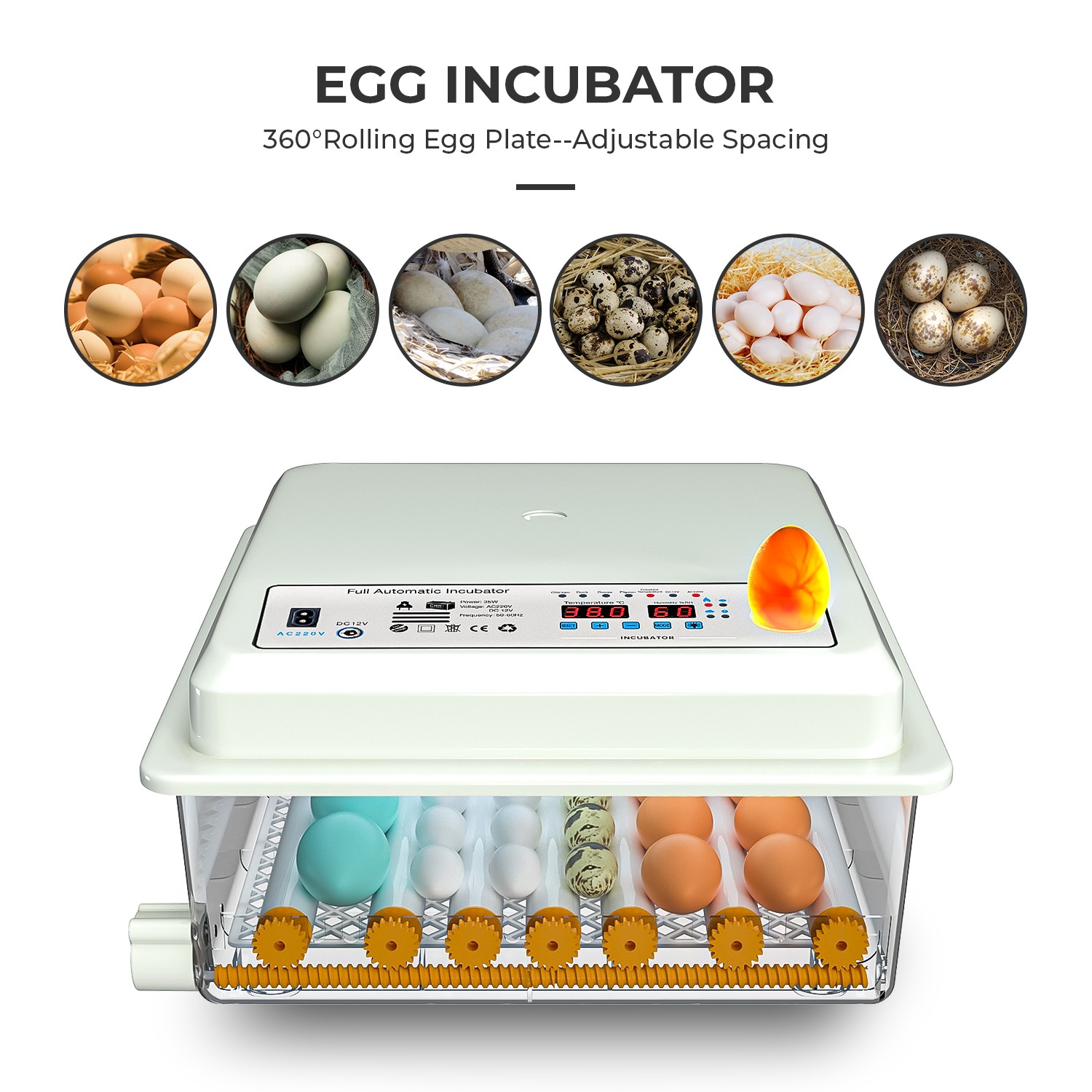 36 Eggs Incubator Temperature Control Chicken Hatcher Automatic Turning Digital