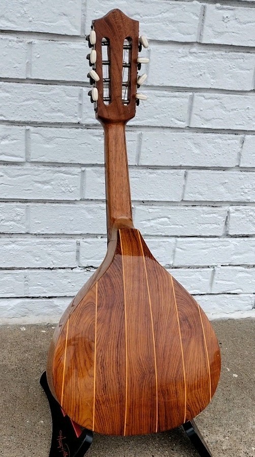 Bowlback Mandolin w/Carrying Bag! -LL