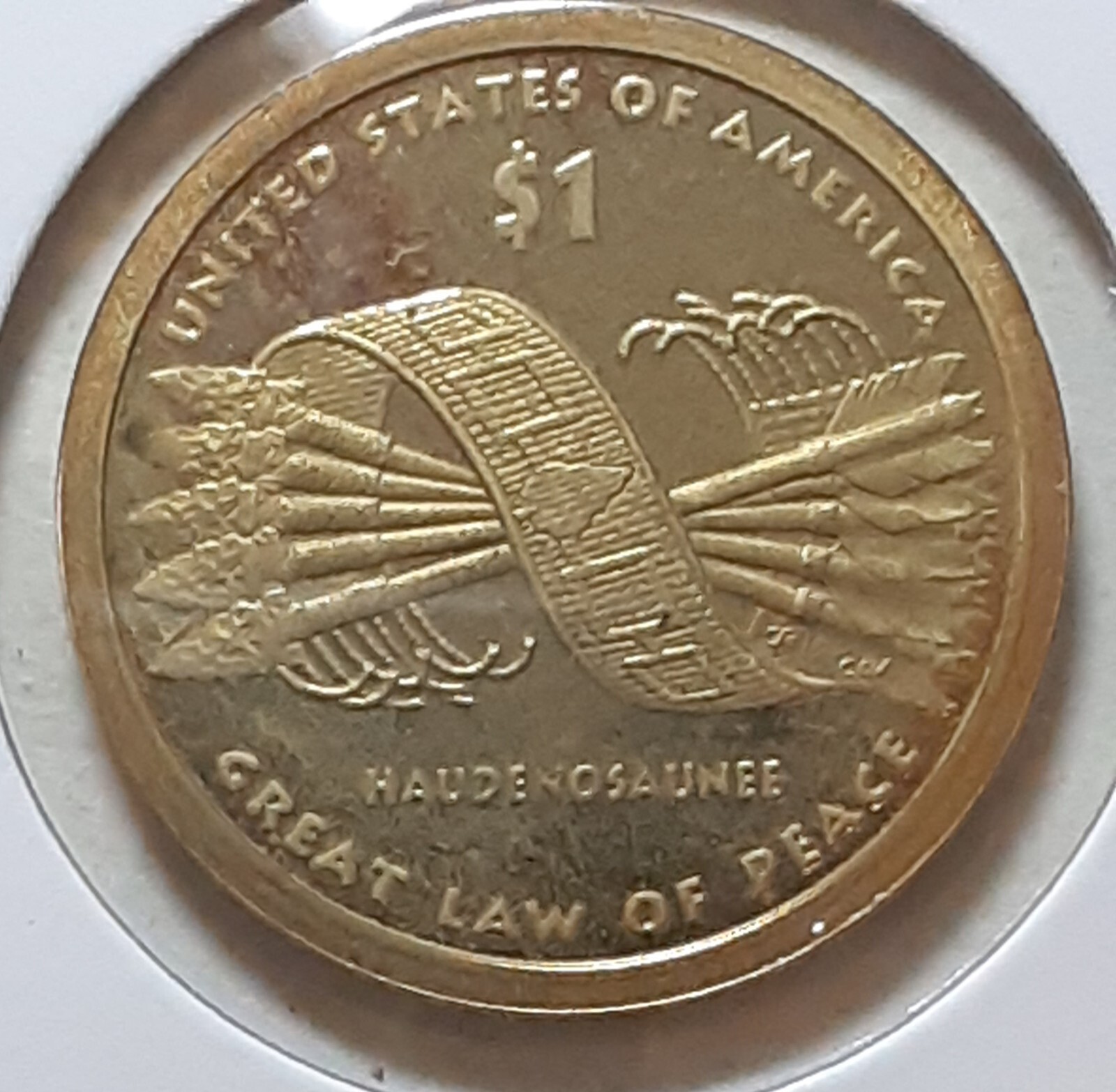 2010 Native American Sacagawea S Dollar - PROOF - TARNISHED or SPOTTED