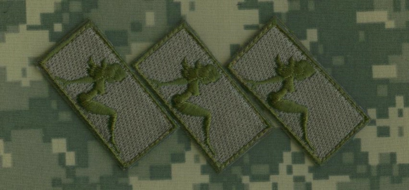DAESH WHACKER GREEN BERETS SFG SAS burdock 2" 3-TAB: We're Fighting to protect