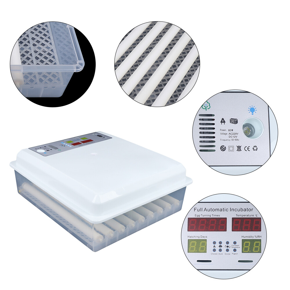 Egg Incubator 64 Eggs Fully Digital Automatic Hatcher Fit Hatching Chicken Farm
