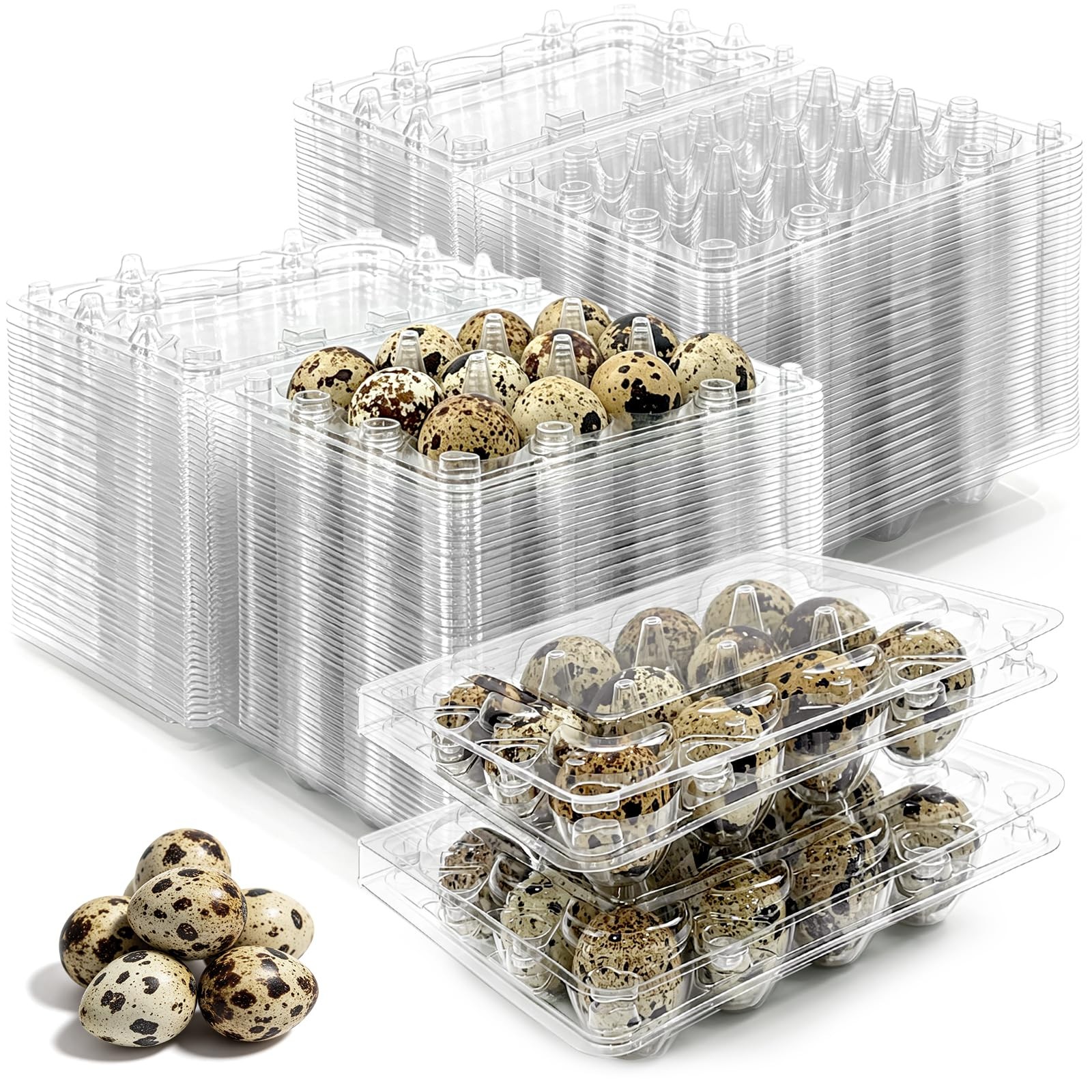 100 Pack Quail Egg Cartons, 12 Count Clear Egg Trays with Lids