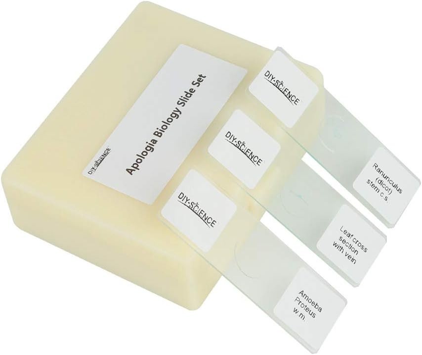 Prepared Apologia Biology Microscope Slides Set, Pack of 16pcs Specimens Spec...