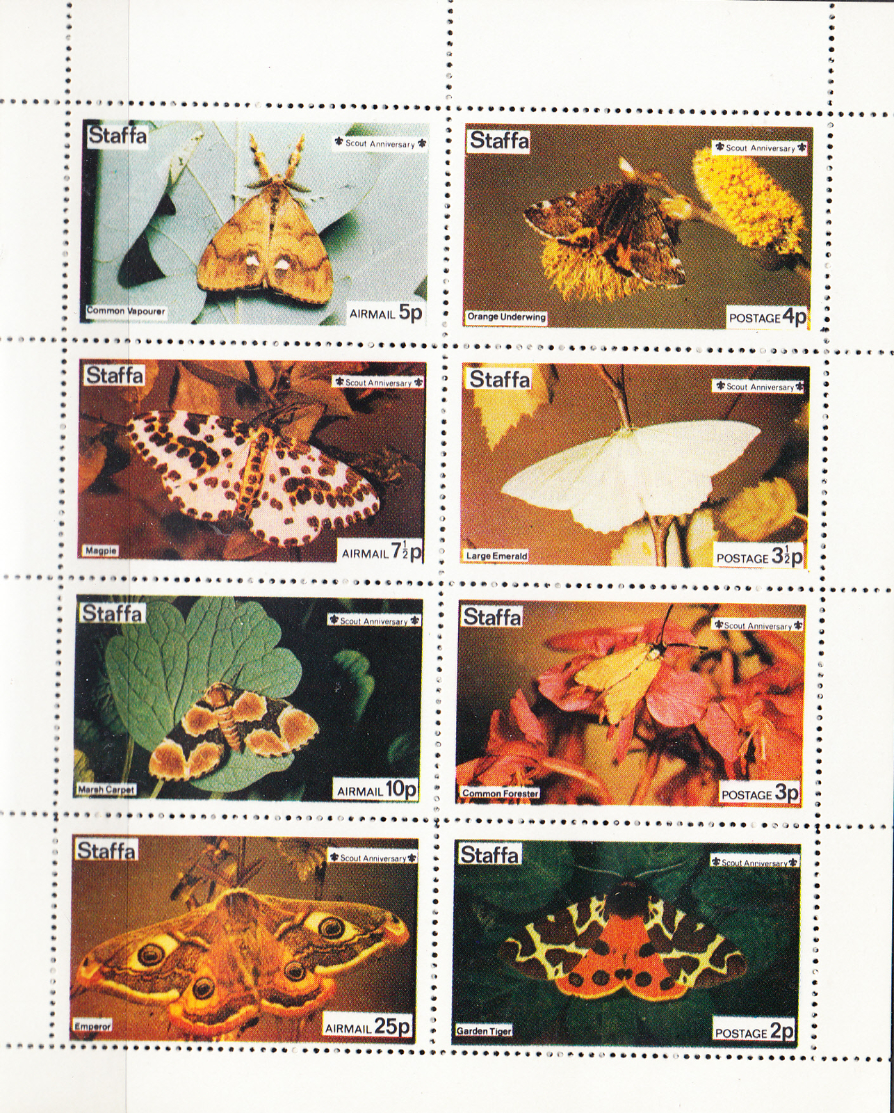 W STAFFA 021 BUTTERFLIES