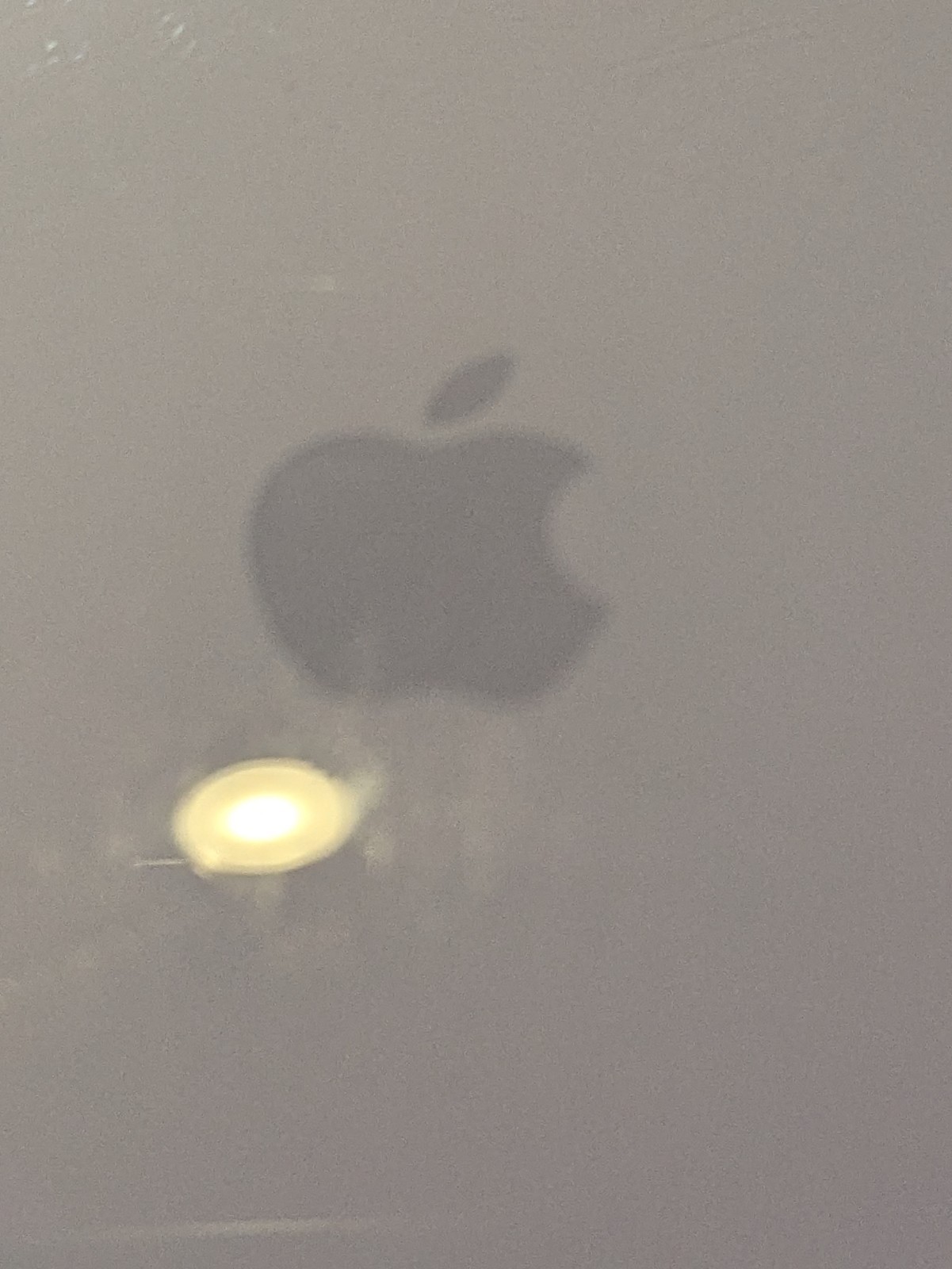 Apple Wireless Mouse White NO BACK