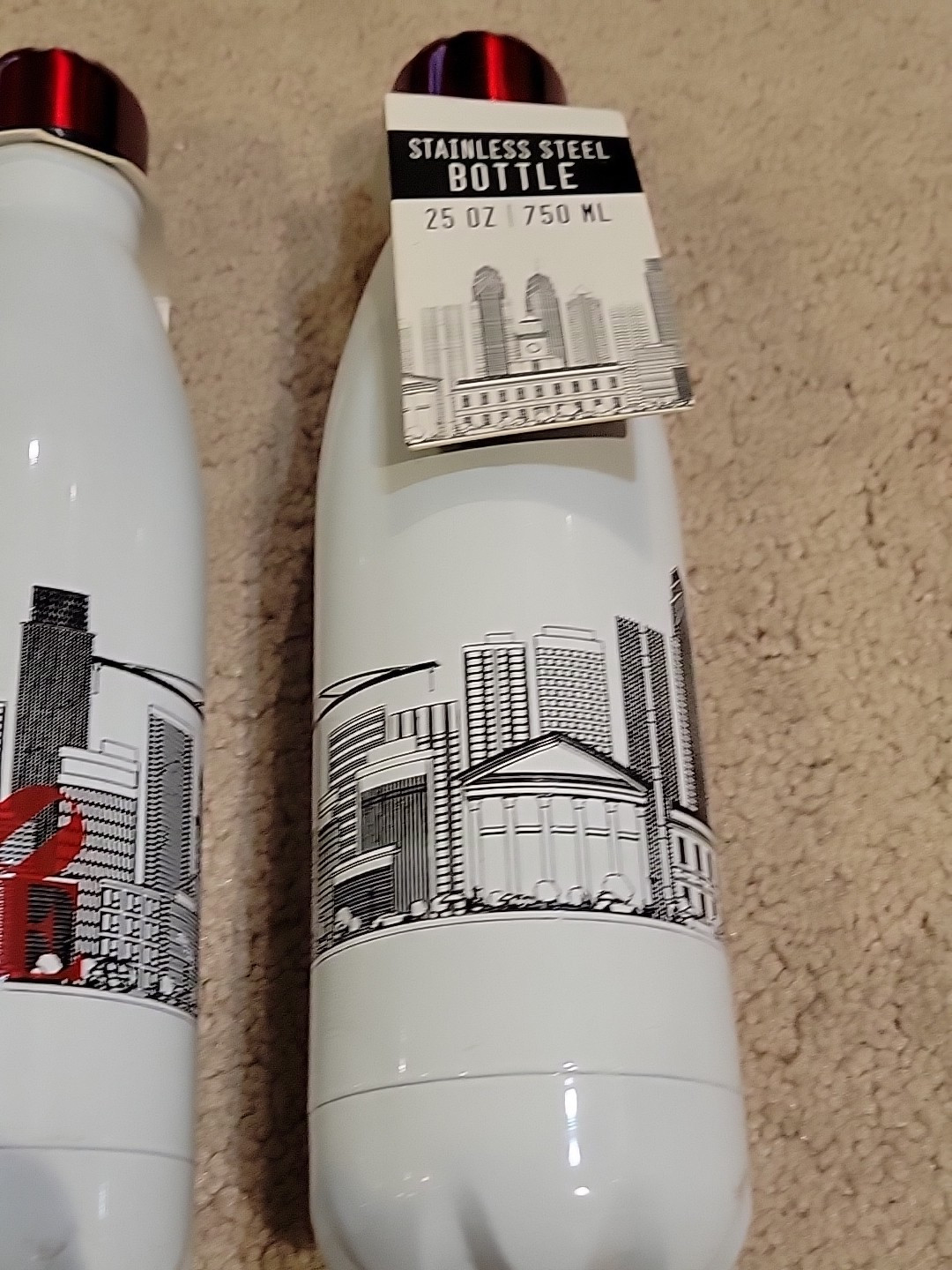 2 STAINLESS STEEL 25 OZ SKYLINE BOTTLES