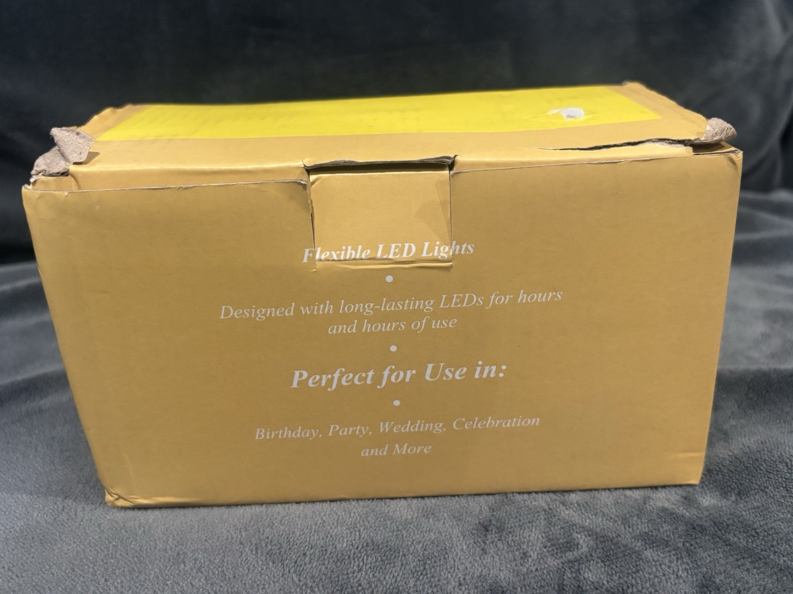 String Light With Flexible LED Lights (warm White)