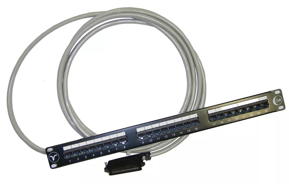 Rj21 Telco VG224 VG310 Cat3 90 degree 25 pair Male to Cat5e 24 Port Panel LOT