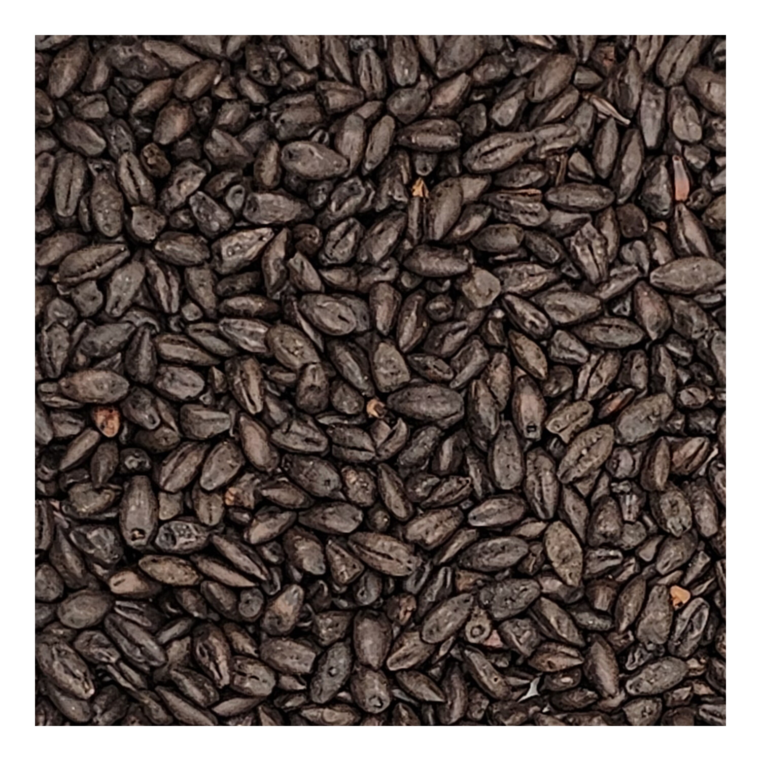 Home Brew Ohio Black Grain 1lb
