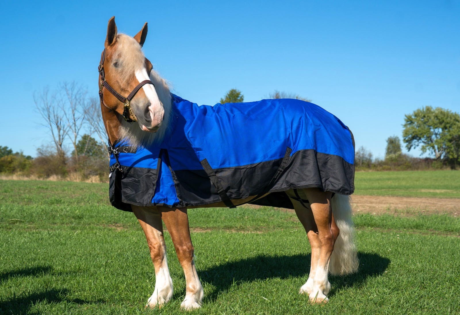 Deluxe 1200D Turnout Blanket Draft Horse Size Waterproof Blanket 300gm 90-100"