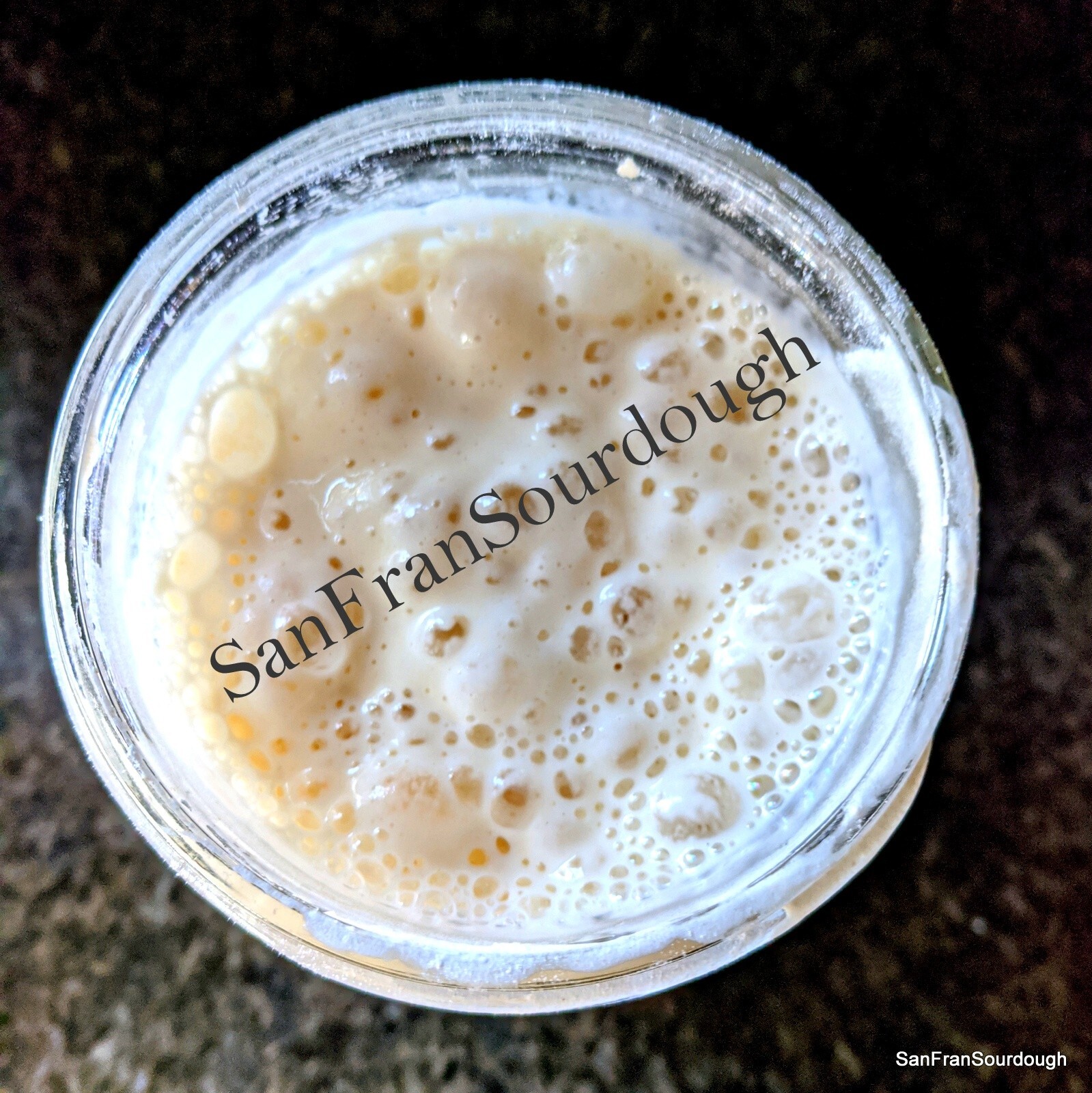Active Dried Sourdough Starter San Francisco Yeast Bacteria baking bread