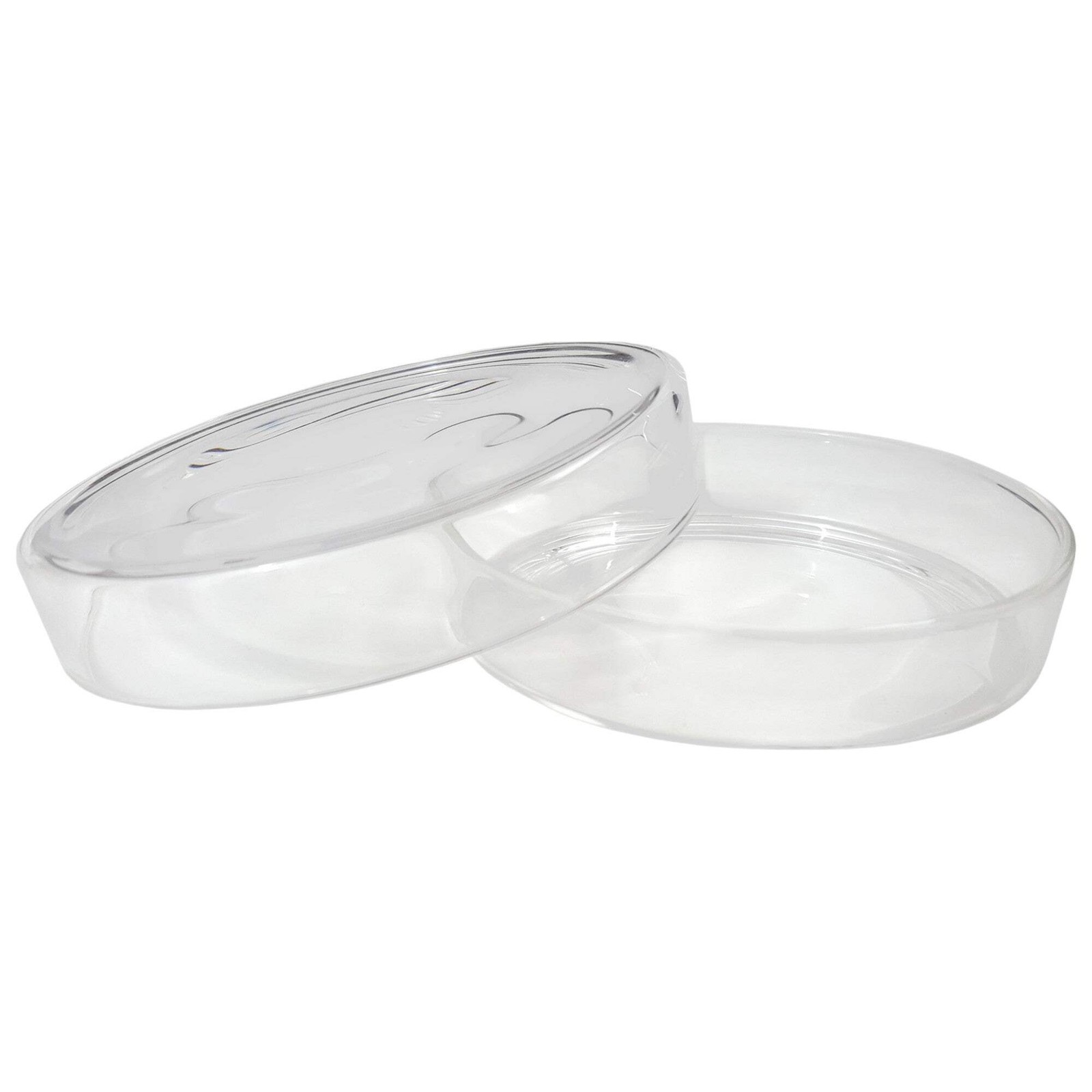 Petri Dish, Flint Glass, 100mm diameter x 15mm height.
