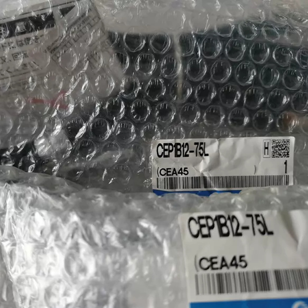SMC CEP1B12-75L cylinder